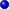bullet_blue.gif (891 bytes)